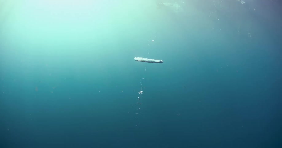 A man snorkels under water