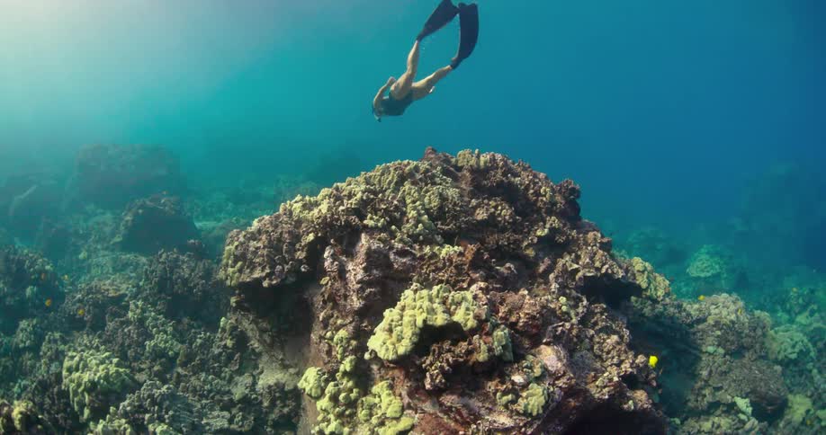 Snorkeler swims through murky water over coral reef