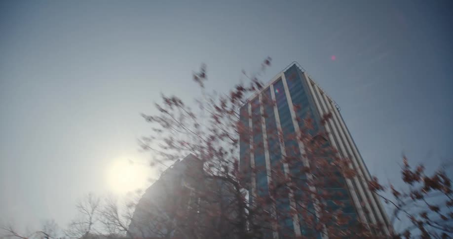 Two tall buildings fill the sky