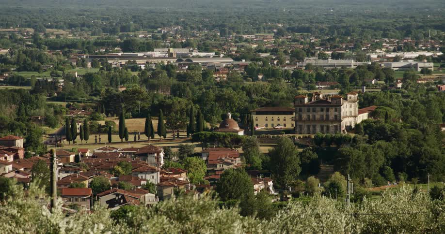 A suburban neighborhood is surrounded by tall trees