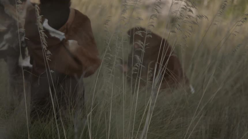 Cloaked men standing and kneeling in tall grass