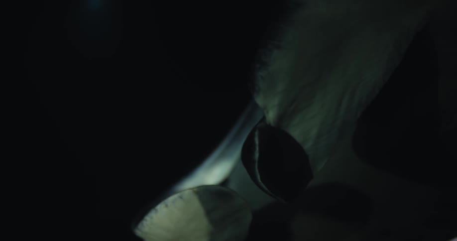 Close up of a manta ray swimming on the dark ocean waters at night
