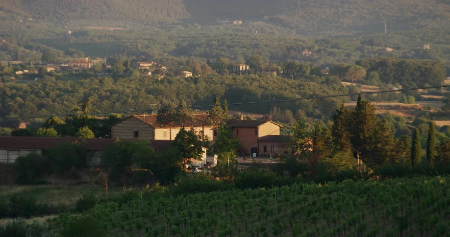 A still shot of the exterior of a house on farmland
