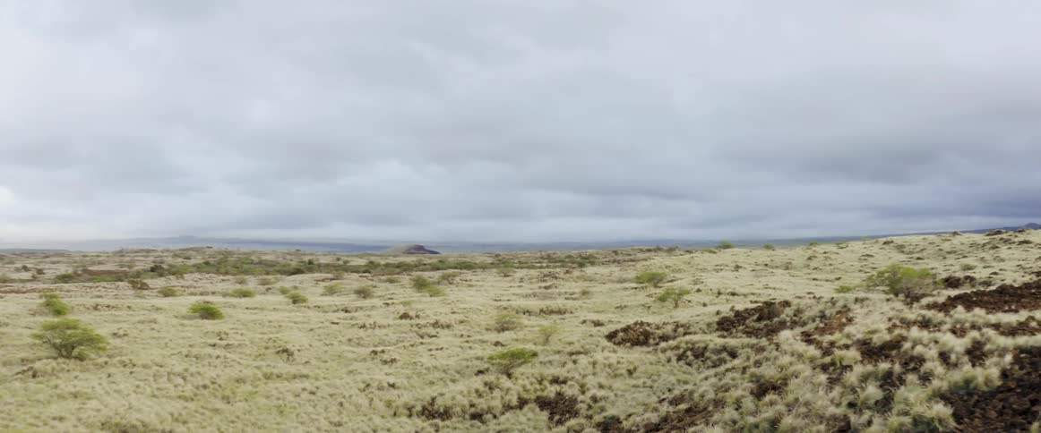Aerial view of the sparse vegetation on the savannah under a thick layer of clouds