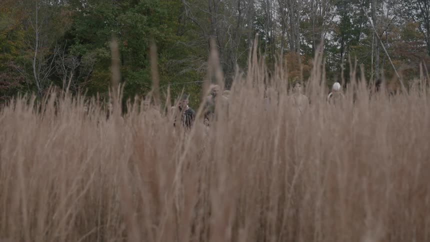Tall grass lines this field as people cross it