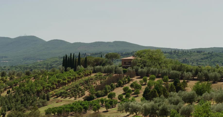 Villa atop a small hill on a farm next to the mountains