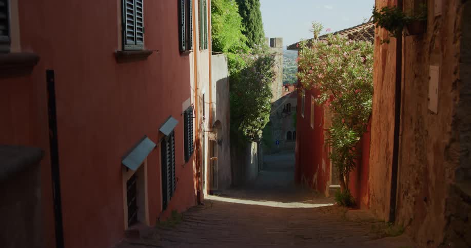 A narrow sloped street with buildings on both sides and flowering trees