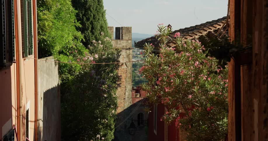 Flowering bushes sit on sides of street near fort in town