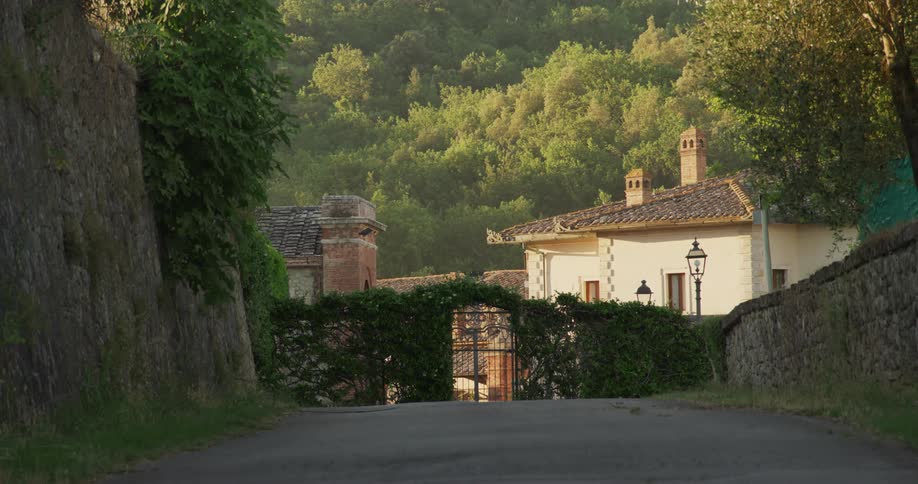 Shot of an ivy covered gate in front of a house at the end of a quiet street