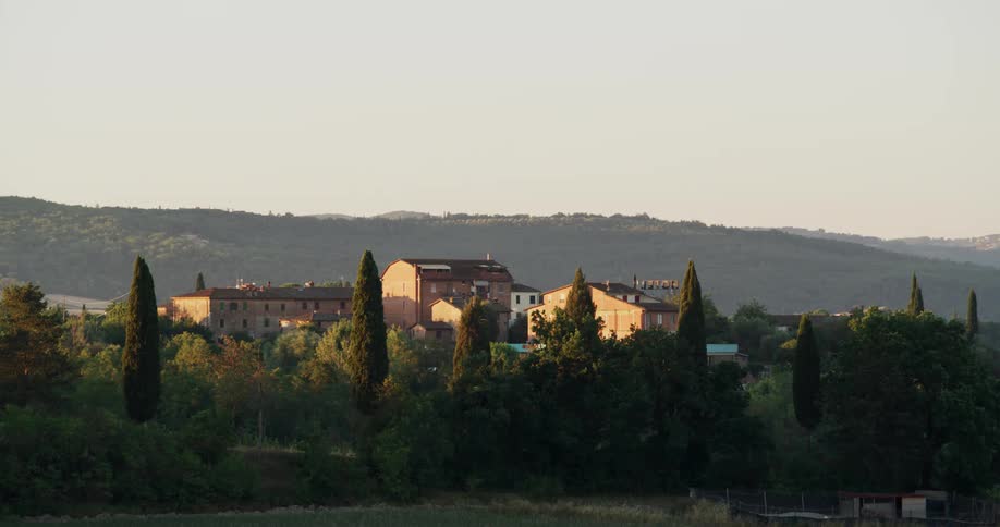 Birds flying above homes in a village