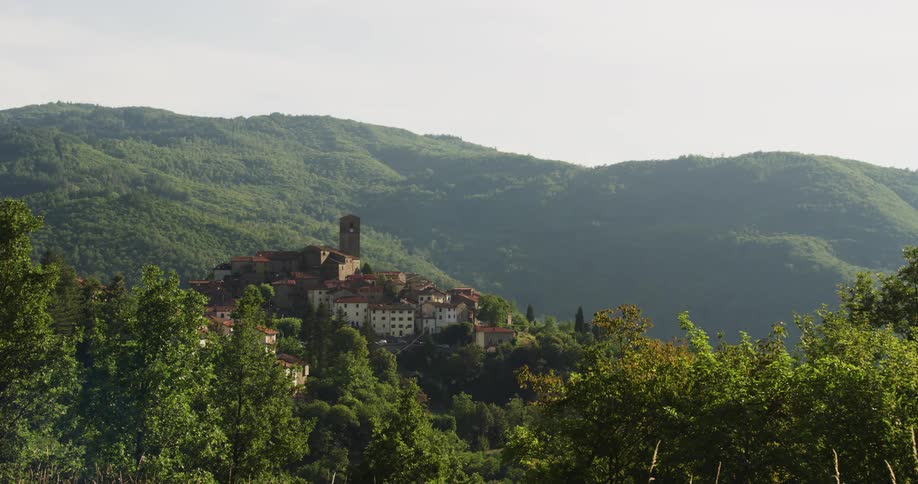 A view of a neighborhood