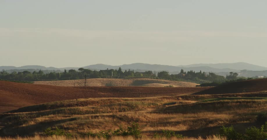Grasslands on the gentle slopes of hills next to a mountain range in the horizon
