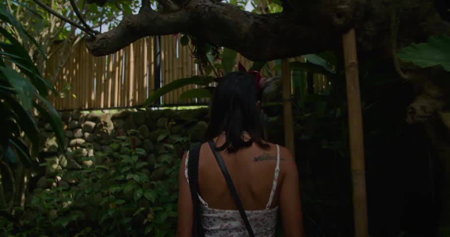 Woman walks along tree lined path outside temple with stone statues