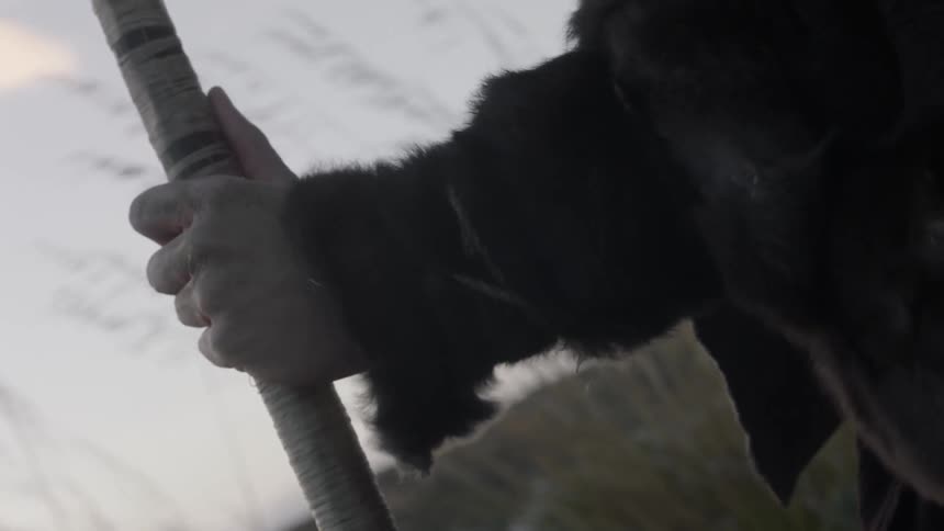 A person is holding a staff on a windy day