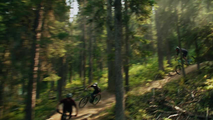 Cyslists ride mountain bikes down slope in forest on sunny day