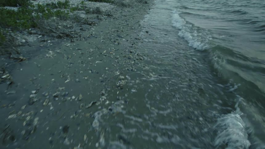Waves splash and ripple as they roll into shore