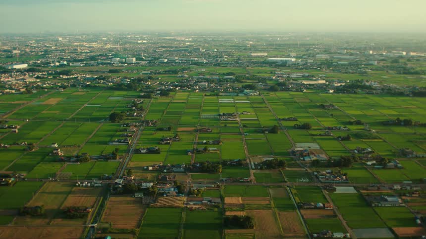 Aerial view of the organized fields of densely packed farms on the outskirts of a town