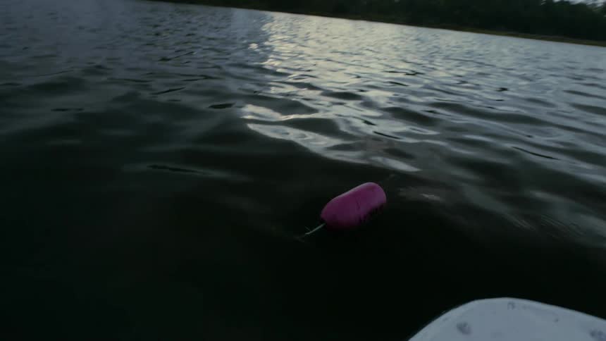 Fisherman pull a net onto their boat