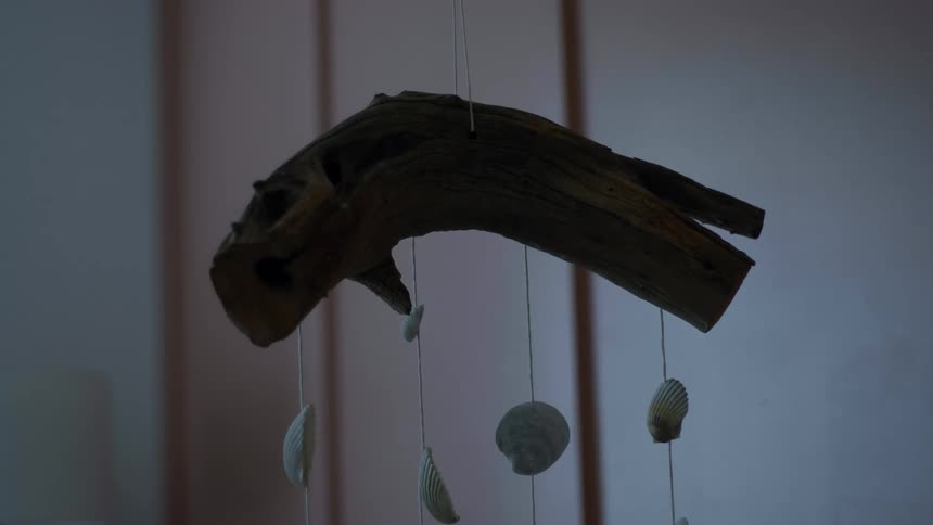 Close up of a hanging ornament made with driftwood and seashells on a dimly lit room