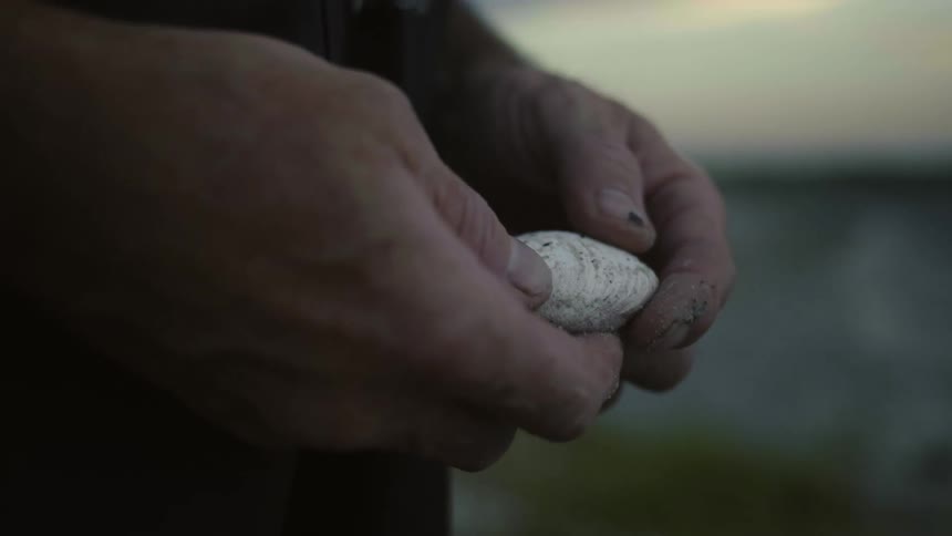 Old hands and fingers holding a shell and caressing it as if deep in thought