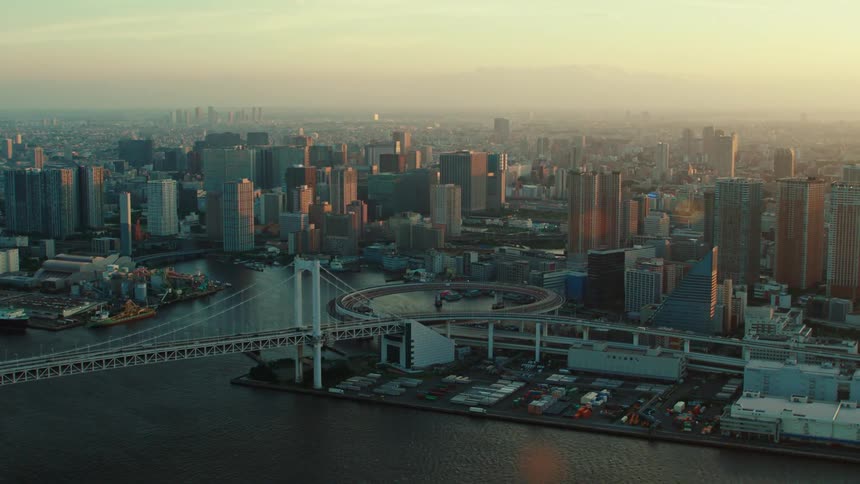 A bridge runs past a marina and connects to downtown
