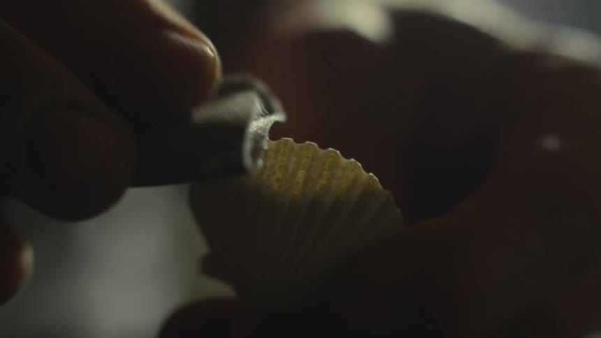 Close up of the hand of a person cleaning a sea shell with a piece of cloth