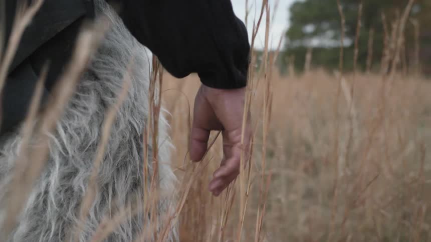 A man wearing a fur piece walks through tall grass in the day