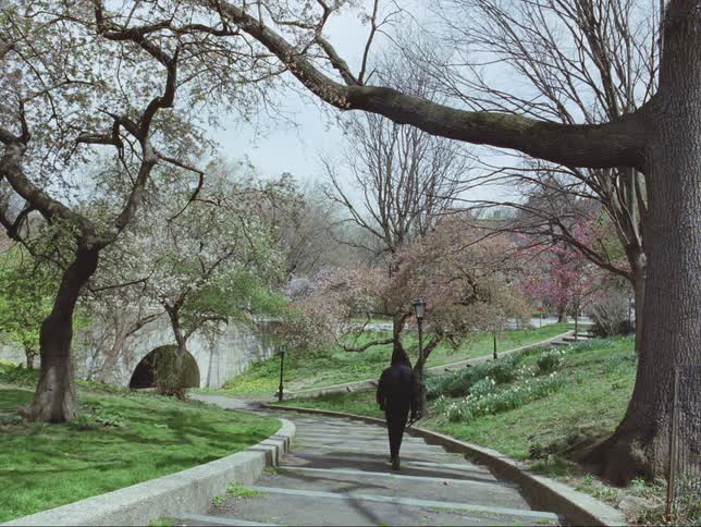 A woman walks down a staircase through a park