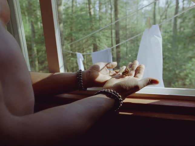 A man standing at a window opens his hands revealing a butterfly in his palm