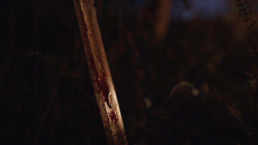 A sword is covered with blood at night
