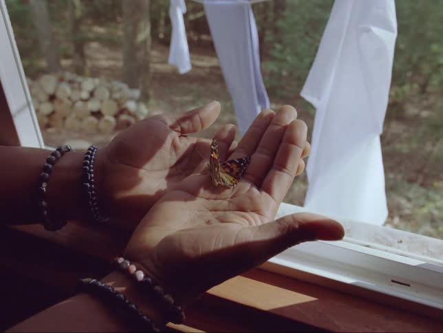 Butterfly on the hands of a person standing next to a window on a cabin in the woods