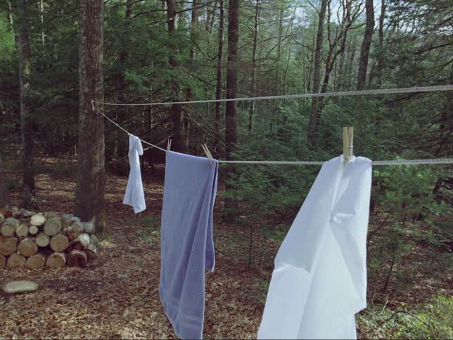 Clothes are moving in the breeze as they hang on a clothesline near the woods and a butterfly flies by