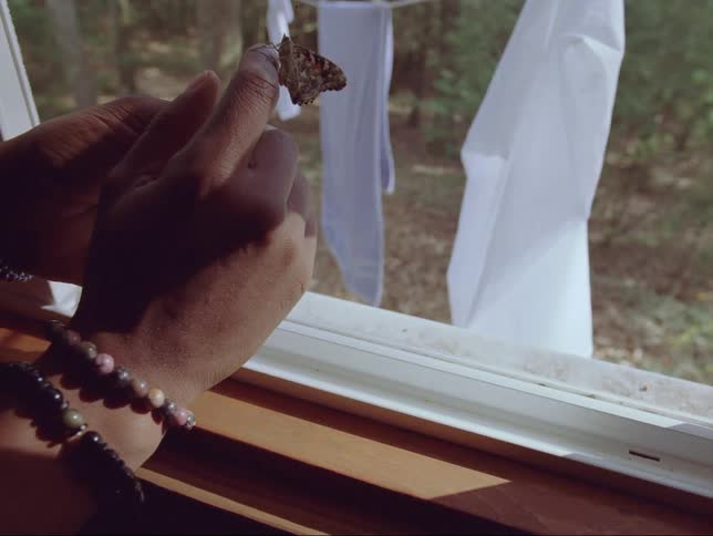 A butterfly sitting on a persons finger in a window sill on a sunny day