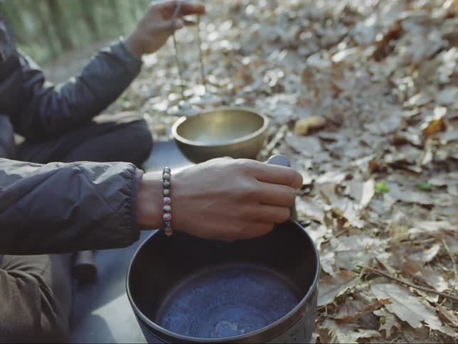 Two friends are in the wilderness together and playing music