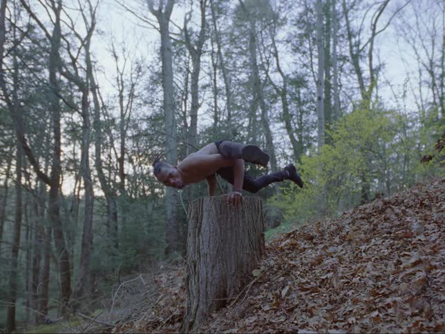 Man balances on tree stump surrounded by fallen leaves in forest under a red tinted sky