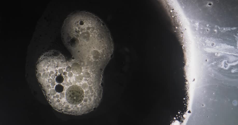 Bubbles in foam are surrounded by a black area encased in a white substance