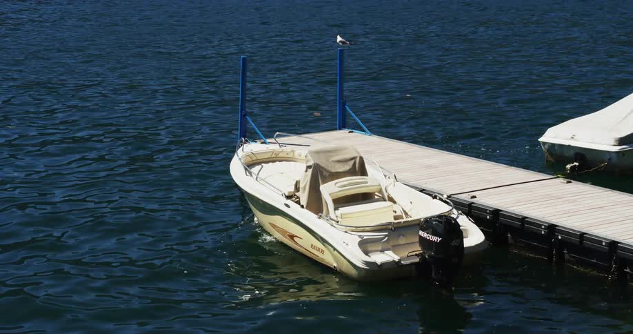 A seagull is sitting on a pole on a dock where boats are tied up