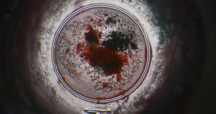 An orb is filled with moving organic black substance over red blobs and as they spin inside there is also rotation inside the vortex