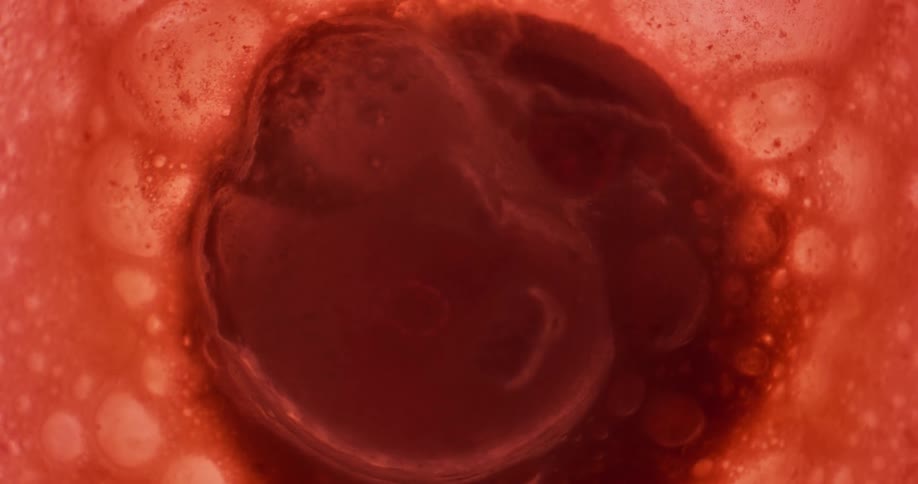 Bubbles rise up in a red liquid and pop