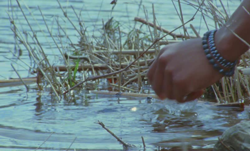 River water ripples and sparkles as it moves along the weeds and someone washes their hands in the water