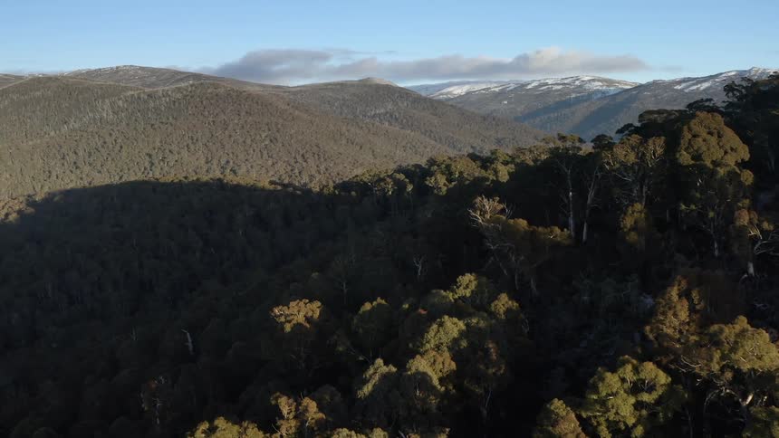 A mountain range covered in forest during the day