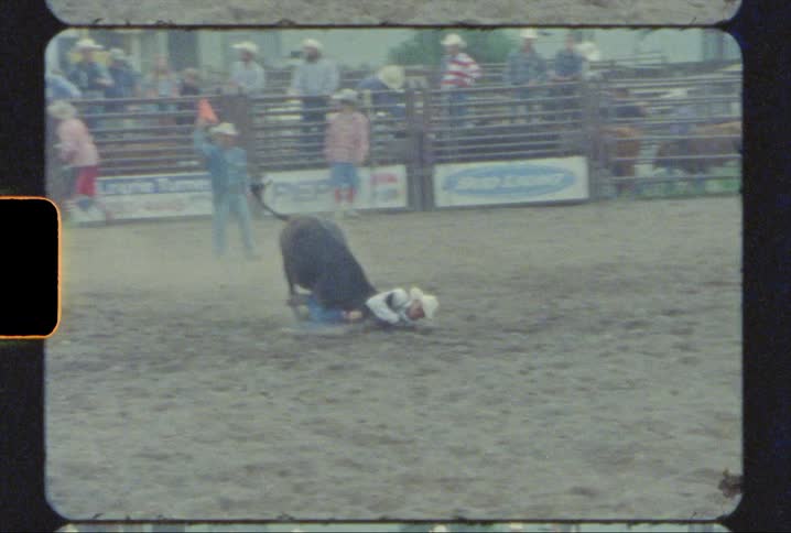 A rodeo cowboy holding the neck of a steer wrestles it in the rodeo ring