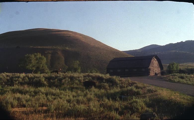 A large barn in the country with bison shot on 16mm film