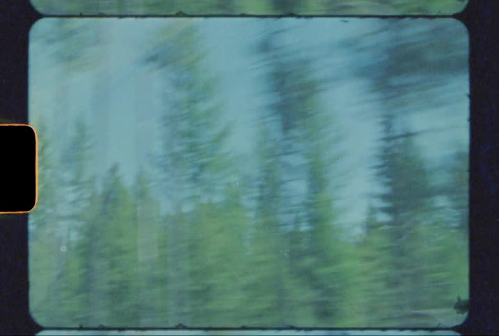 Moving footage of Snowy mountains and forest pine trees in Montana shot on 8mm Film