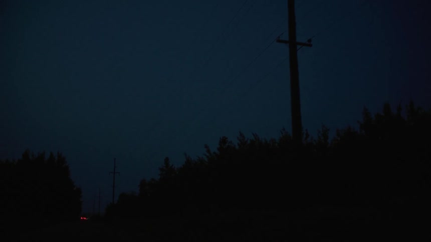 A power line sits at the edge of a forest