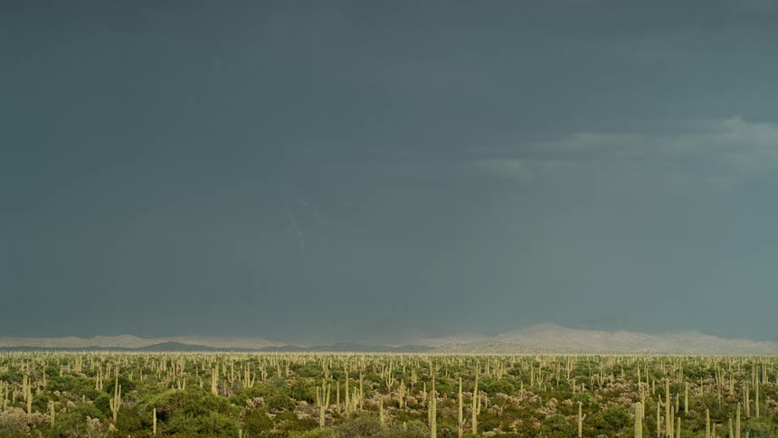 A view of lightning over a desert