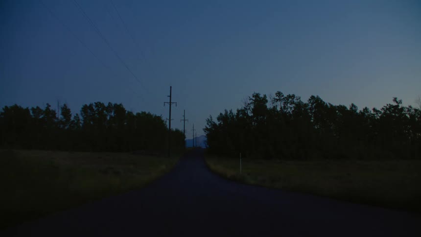 A rural highway is flanked by tall trees