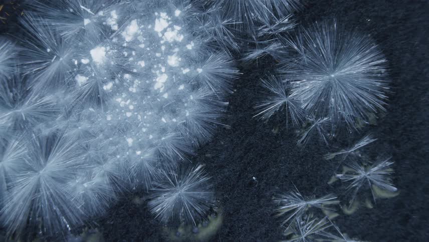 A view of ice crystals forming