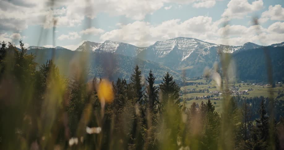 Small town nestled near snow covered mountains is visible through swaying wildflowers