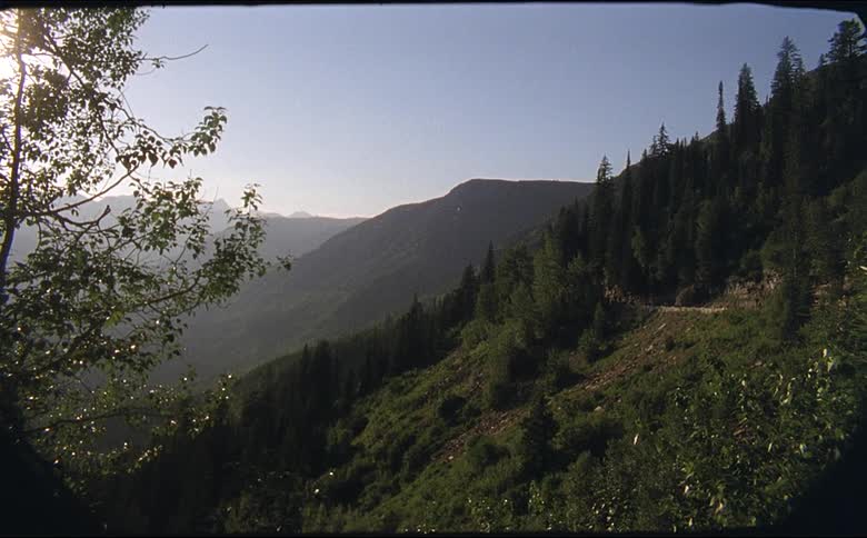 Morning sunlight shines over the pine trees on the slopes of a mountain in glacier national park on 16mm film